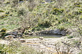 DSC02641 - Bernhard Saalfeld