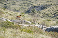 DSC02643 - Bernhard Saalfeld