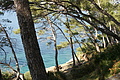 DSC02652 - Bernhard Saalfeld