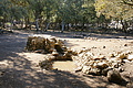 DSC02723 - Bernhard Saalfeld