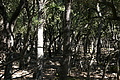 DSC02724 - Bernhard Saalfeld