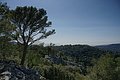 DSC02734 - Bernhard Saalfeld