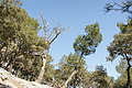DSC02779 - Bernhard Saalfeld