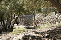 DSC02782 - Bernhard Saalfeld
