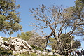 DSC02786 - Bernhard Saalfeld