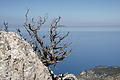 DSC02800 - Bernhard Saalfeld