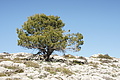 DSC02806 - Bernhard Saalfeld