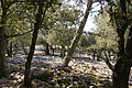 DSC02830 - Bernhard Saalfeld