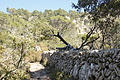 DSC02842 - Bernhard Saalfeld