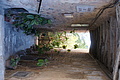 DSC02854 - Bernhard Saalfeld