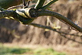 DSC02876 - Bernhard Saalfeld