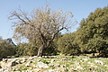 DSC02887 - Bernhard Saalfeld