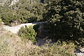 DSC02888 - Bernhard Saalfeld