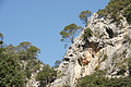 DSC02899 - Bernhard Saalfeld