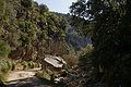 DSC02910 - Bernhard Saalfeld