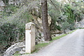 DSC02915 - Bernhard Saalfeld