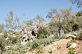 DSC02916 - Bernhard Saalfeld
