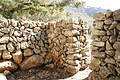 DSC02921 - Bernhard Saalfeld