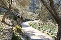 DSC02929 - Bernhard Saalfeld