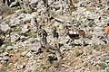 DSC02945 - Bernhard Saalfeld