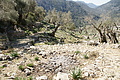 DSC02950 - Bernhard Saalfeld