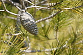 DSC02980 - Bernhard Saalfeld