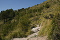 DSC02987 - Bernhard Saalfeld