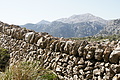 DSC03001 - Bernhard Saalfeld