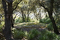 DSC03019 - Bernhard Saalfeld