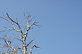 DSC03020 - Bernhard Saalfeld