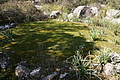 DSC03024 - Bernhard Saalfeld