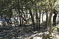DSC03031 - Bernhard Saalfeld