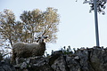 DSC03065 - Bernhard Saalfeld