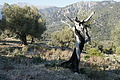 DSC03072 - Bernhard Saalfeld