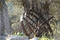 DSC03077 - Bernhard Saalfeld