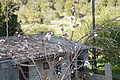 DSC03080 - Bernhard Saalfeld