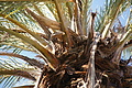 DSC03130 - Bernhard Saalfeld