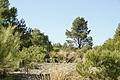 DSC03151 - Bernhard Saalfeld
