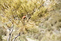 DSC03153 - Bernhard Saalfeld