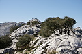 DSC03199 - Bernhard Saalfeld