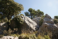 DSC03202 - Bernhard Saalfeld