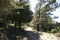 DSC03203 - Bernhard Saalfeld