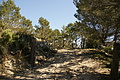 DSC03206 - Bernhard Saalfeld