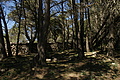 DSC03211 - Bernhard Saalfeld