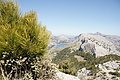 DSC03257 - Bernhard Saalfeld