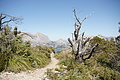 DSC03269 - Bernhard Saalfeld