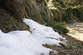 DSC03283 - Bernhard Saalfeld