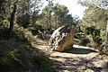 DSC03284 - Bernhard Saalfeld