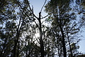 DSC03289 - Bernhard Saalfeld