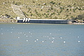 DSC03296 - Bernhard Saalfeld